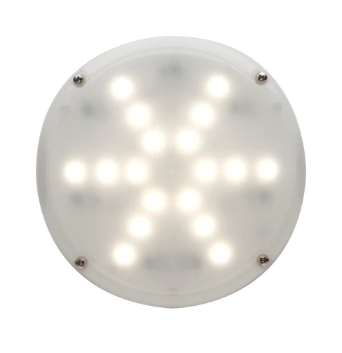 ピンキングディテクター α - 画像1